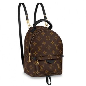 Replica Louis Vuitton Mini Palm Springs Backpack M44873