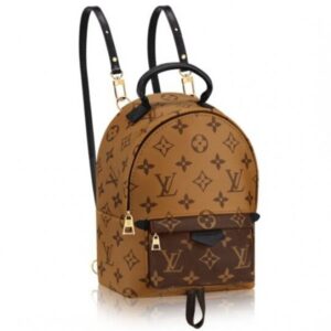 Replica Louis Vuitton Palm Springs Backpack Mini M42411