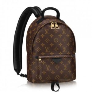 Replica Louis Vuitton Palm Springs Backpack PM M41560