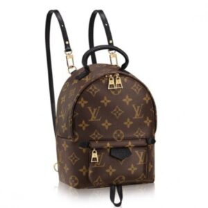 Replica Louis Vuitton Palm Springs Mini Backpack M41562